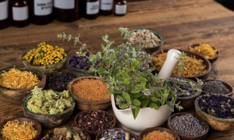 Vendita erbe dell’amazzonia Vendita erbe dell’amazzonia