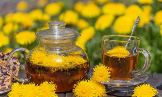 Radice di tarassaco per depurare il fegato Radice di tarassaco per depurare il fegato