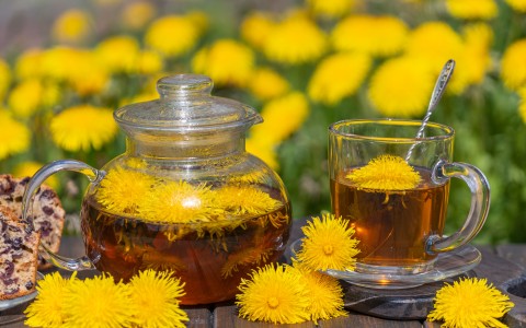 Radice di tarassaco per depurare il fegato