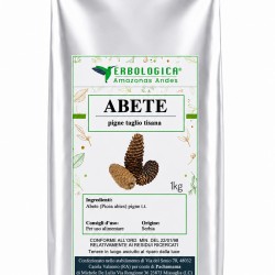 Abete pigne taglio tisana