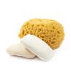 Spugna di mare naturale Spugna di mare naturale