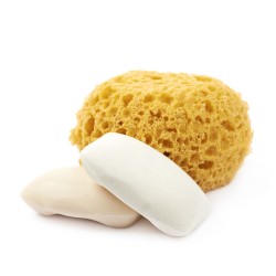 Spugna di mare naturale Spugna di mare naturale