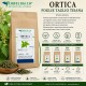 Ortica Foglie Taglio Tisana 100% Naturale Ortica Foglie Taglio Tisana Erbologica Urtica dioica