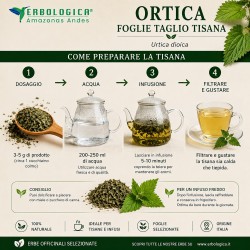 Ortica Foglie Taglio Tisana (Urtica dioica) Ortica Foglie Taglio Tisana (Urtica dioica)