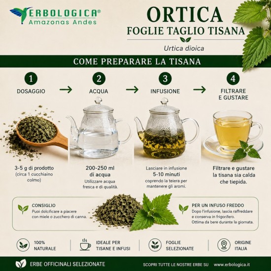 Ortica Foglie Taglio Tisana 100% Naturale Ortica Foglie Taglio Tisana Erbologica Urtica dioica