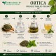 Ortica Foglie Taglio Tisana 100% Naturale Ortica Foglie Taglio Tisana Erbologica Urtica dioica