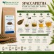 Spaccapietra Pianta Taglio Tisana Ceterach officinarum Erba Officinale Spaccapietra Pianta Taglio Tisana Ceterach officinarum essiccata per infusi naturali