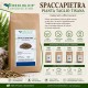 Spaccapietra Pianta Taglio Tisana Ceterach officinarum Erba Officinale Spaccapietra Pianta Taglio Tisana Ceterach officinarum essiccata per infusi naturali