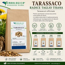Tarassaco Radice Taglio Tisana (Taraxacum officinale)