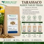 Tarassaco Radice Taglio Tisana (Taraxacum officinale)