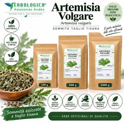 Artemisia Volgare Tisana – Artemisia vulgaris Sommità Taglio Tisana Artemisia Volgare Tisana – Artemisia vulgaris Sommità Taglio Tisana