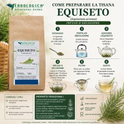 Equiseto Erba Taglio Tisana (Equisetum arvense)