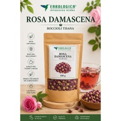 Rosa damascena tisana