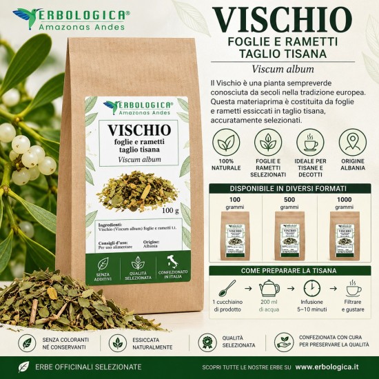 Vischio foglie e rametti taglio tisana Erbologica