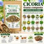 Cicoria Tisana Composta – Miscela di 14 Erbe 100 g