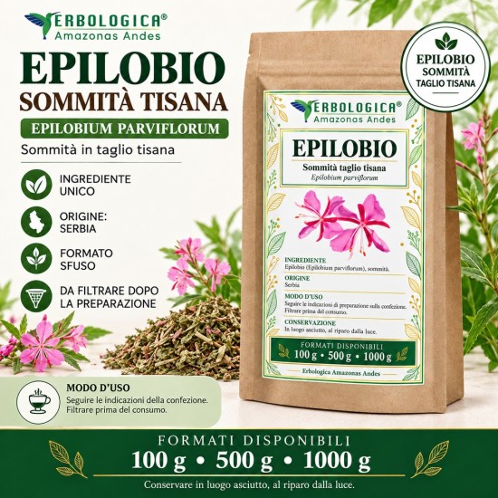 Epilobio parviflorum per tisana Epilobio parviflorum per tisana