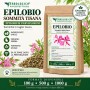 Epilobio parviflorum per tisana