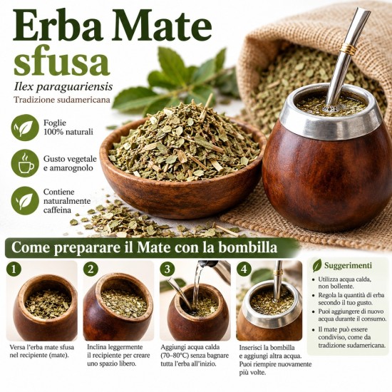 Yerba Mate Foglie – Ilex paraguariensis Yerba Mate foglie sfusa Ilex paraguariensis Erbologica
