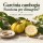 Garcinia cambogia: funziona per dimagrire? Evidenze e precauzioni