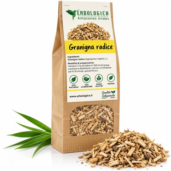 Dried couch grass root for herbal tea Loose dried couch grass root for herbal teas and decoctions