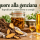 Liquore alla genziana fatto in casa: ingredienti, macerazione e consigli