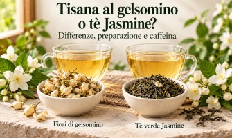 Tisana al gelsomino e tè Jasmine: differenze, preparazione e caffeina