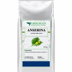 Anserina sommità taglio tisana