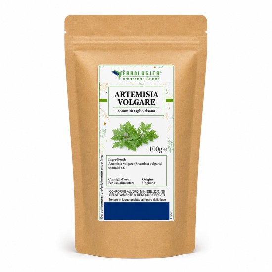 Artemisia Volgare Sommità Taglio Tisana Erbologica Amazonas Andes 100g Busta kraft da 100g di Artemisia Volgare sommità taglio tisana Erbologica Amazonas Andes con etichetta botanica frontale.