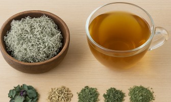 Lichene islandico radice nordica tra usi popolari e routine naturale