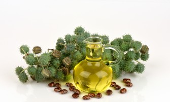 Olio di ricino proprietà usi principali e alternative naturali