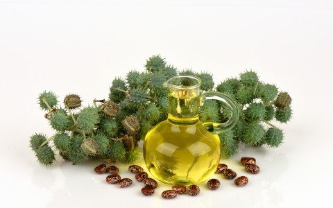 Olio di ricino proprietà usi principali e alternative naturali