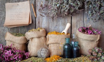 Tendenze emergenti nel mercato delle erbe officinali all'ingrosso, analisi e previsioni Tendenze emergenti nel mercato delle erbe officinali all'ingrosso, analisi e previsioni