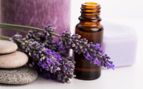 Benefici dell'olio essenziale di lavanda: salute e benessere naturale