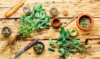 Sfruttare il potenziale delle erbe officinali in cucina: piatti deliziosi e salutari Sfruttare il potenziale delle erbe officinali in cucina: piatti deliziosi e salutari