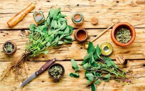 Sfruttare il potenziale delle erbe officinali in cucina: piatti deliziosi e salutari