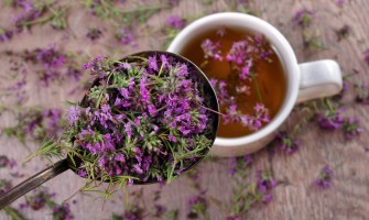 Erba erica: usi, proprietà e guida alla coltivazione - erbologica