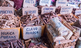 La medicina tradizionale in sud America: un viaggio tra cultura e guarigione La medicina tradizionale in sud America: un viaggio tra cultura e guarigione