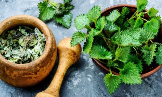 Ortica: proprietà benefiche, utilizzi e impatti sulla salute Ortica: proprietà benefiche, utilizzi e impatti sulla salute
