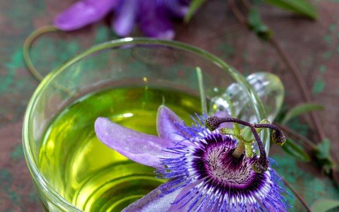 Tisana alla passiflora: benefici per il relax e il sonno