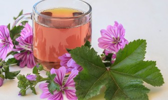 Benefici e preparazione della tisana di fiori di malva un rimedio naturale per il benessere Benefici e preparazione della tisana di fiori di malva un rimedio naturale per il benessere