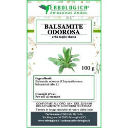Balsamite Odorosa erba taglio tisana Balsamite Odorosa erba taglio tisana
