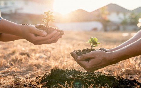Vivere verde: integrare il benessere personale con la sostenibilità | erbologica