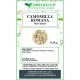 Camomilla romana fiori tisana