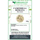 Camomilla romana fiori tisana