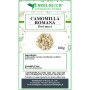 Camomilla romana fiori tisana