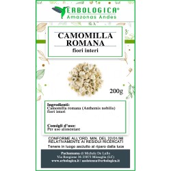 Camomilla romana fiori tisana