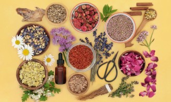 Digestione lenta le piante che aiutano Digestione lenta le piante che aiutano