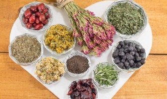 Le erbe officinali che aiutano la stanchezza mentale e la concentrazione