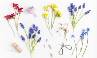 Scoperta primaverile: erbe officinali, ricette e segreti per il benessere Scoperta primaverile: erbe officinali, ricette e segreti per il benessere