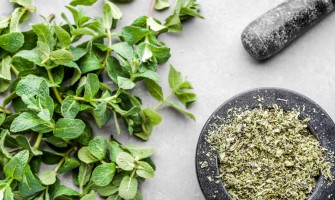 Erbe per il metabolismo e il controllo del peso Erbe per il metabolismo e il controllo del peso